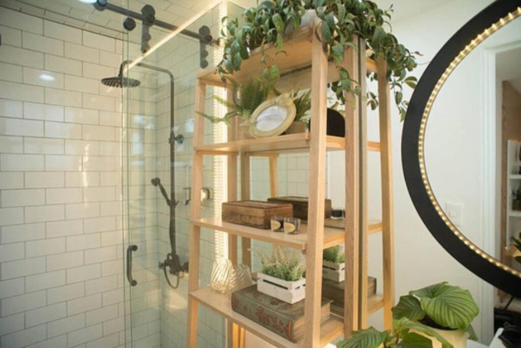 Cozy Country Retreat In Fashionable Roma Mexico City